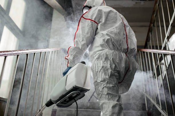 Best Residential Mold Inspection & Testing  in Pleasant Hill, CA